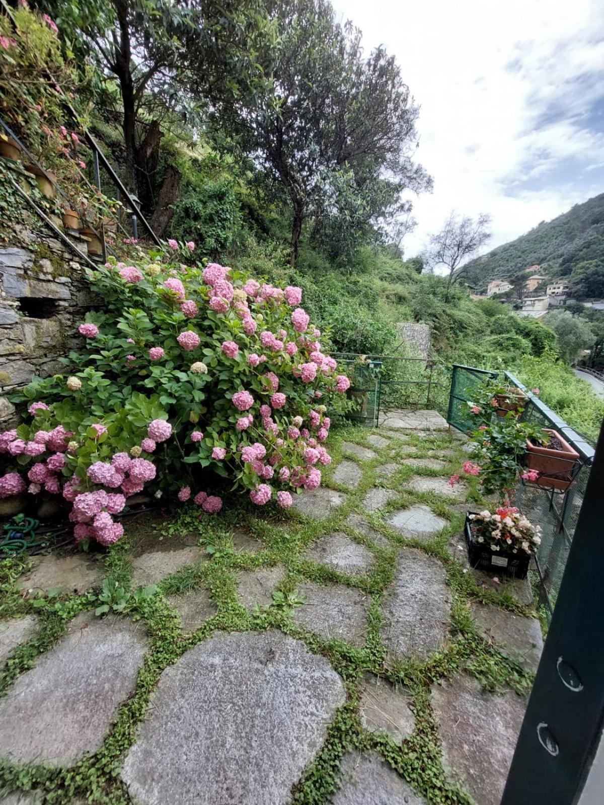 Pupetta Garden Apartment Sori Exterior photo